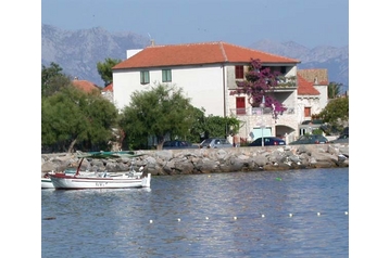 Horvātija Privát Sućuraj, Eksterjers